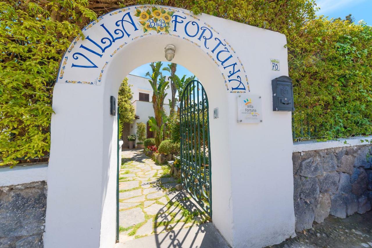 Villa Fortuna Holiday Resort อีสเกีย ภายนอก รูปภาพ